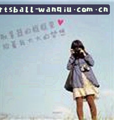 刘总